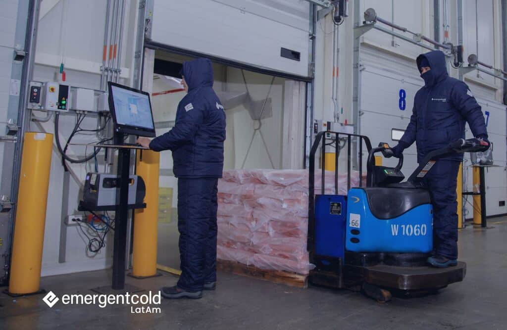 How to export food products: learn about the necessary precautions