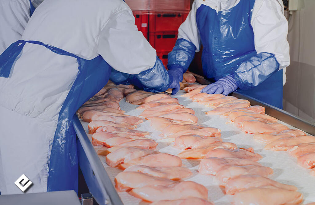 exporting chicken