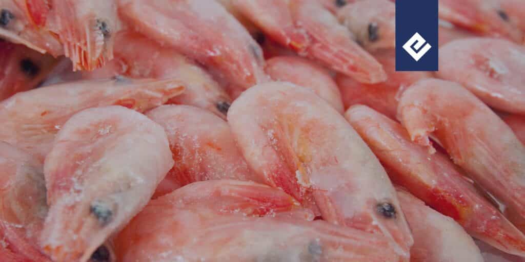 Frozen shrimp with the Emergent Cold LATAM logo on top