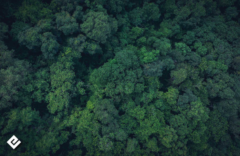 carbon footprint in the foods sector