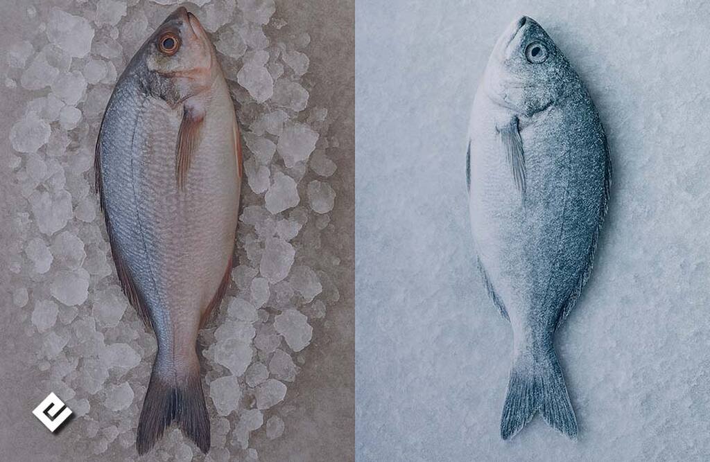 transport of fresh fish